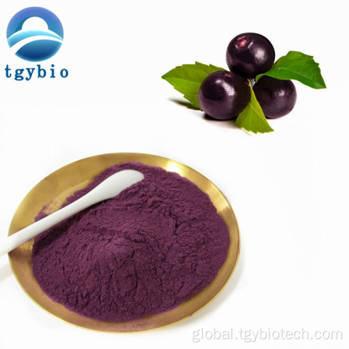 Fruit powder Best Price Acai Berry Extract Maqui Berry Powder Manufactory